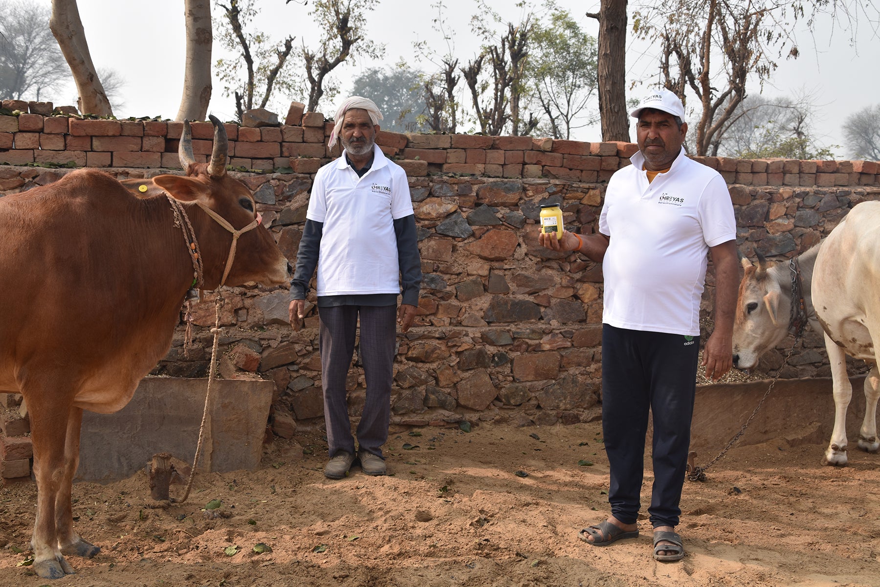 Embracing Wellness with Shreyas Organic A2 Cow Ghee